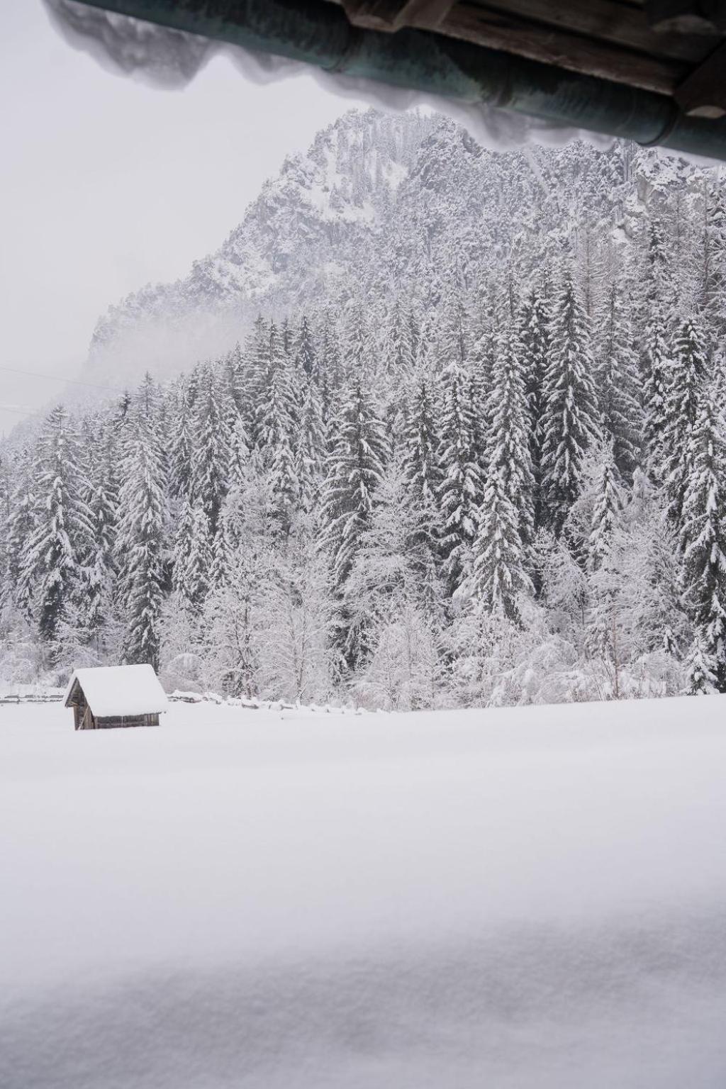 سخلادميخ Fruehstueckspension Auer - Haus Kargl المظهر الخارجي الصورة